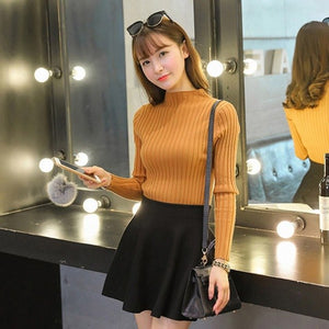 Autumn Winter Fashion Turtleneck Sweater Women Knitted Shorts Sweater Plus Size Casual Female Sweater YP1204